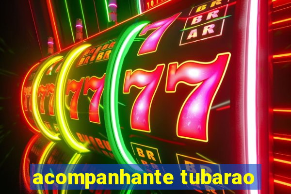 acompanhante tubarao